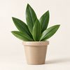 Product 08